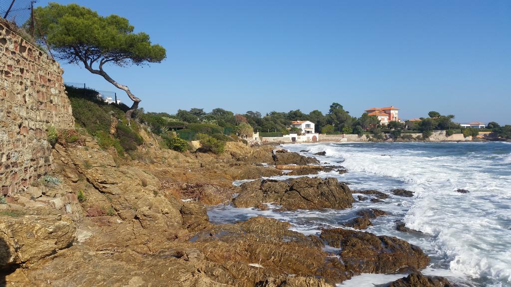 Taradeau Un Petit Coin De Paradis מראה חיצוני תמונה